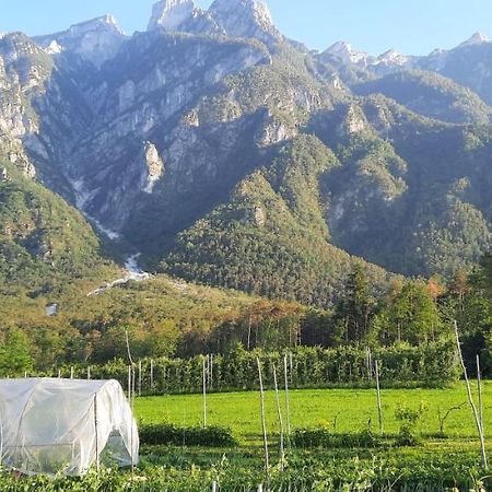 B&B La Casa In Campagna Ospedaletto  Exteriör bild