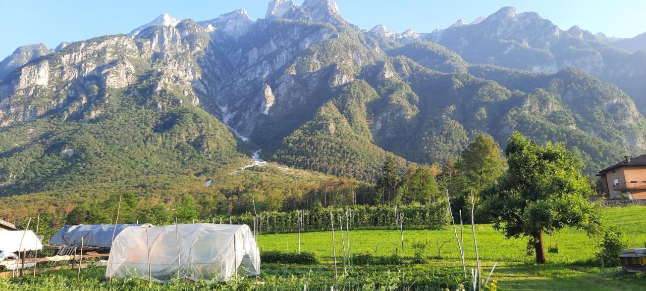 B&B La Casa In Campagna Ospedaletto  Exteriör bild